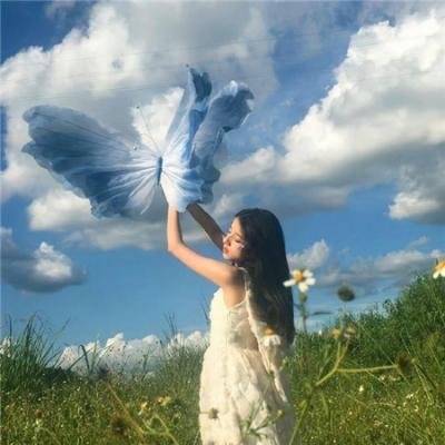 空中英雄:美国第八航空队